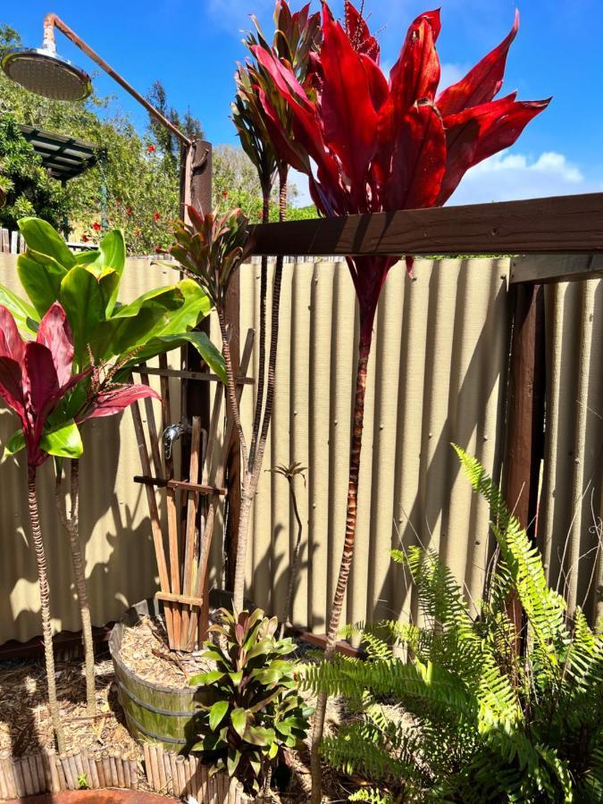 Bed and Breakfast God'S Peace Of Maui Makawao Zewnętrze zdjęcie