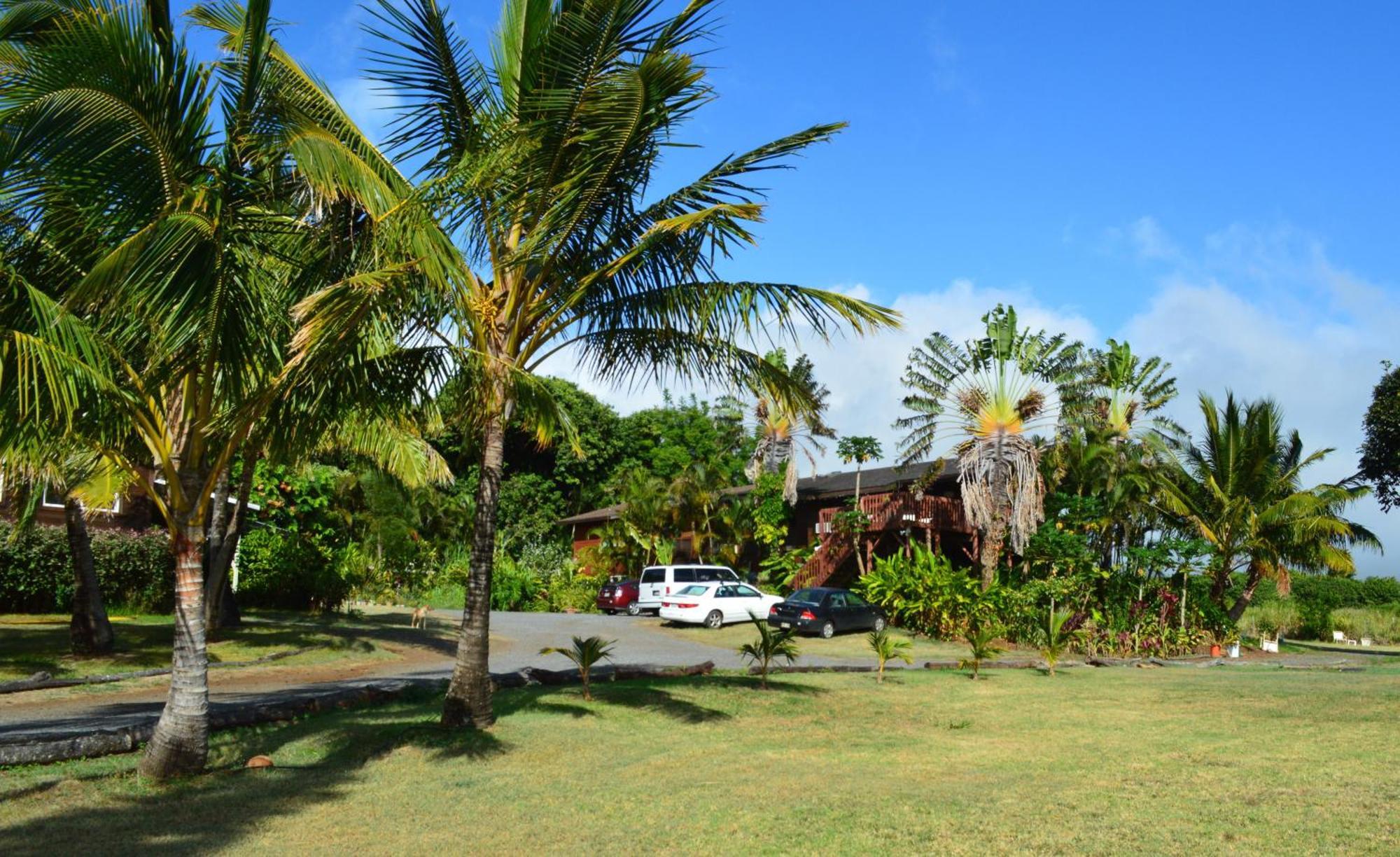 Bed and Breakfast God'S Peace Of Maui Makawao Pokój zdjęcie