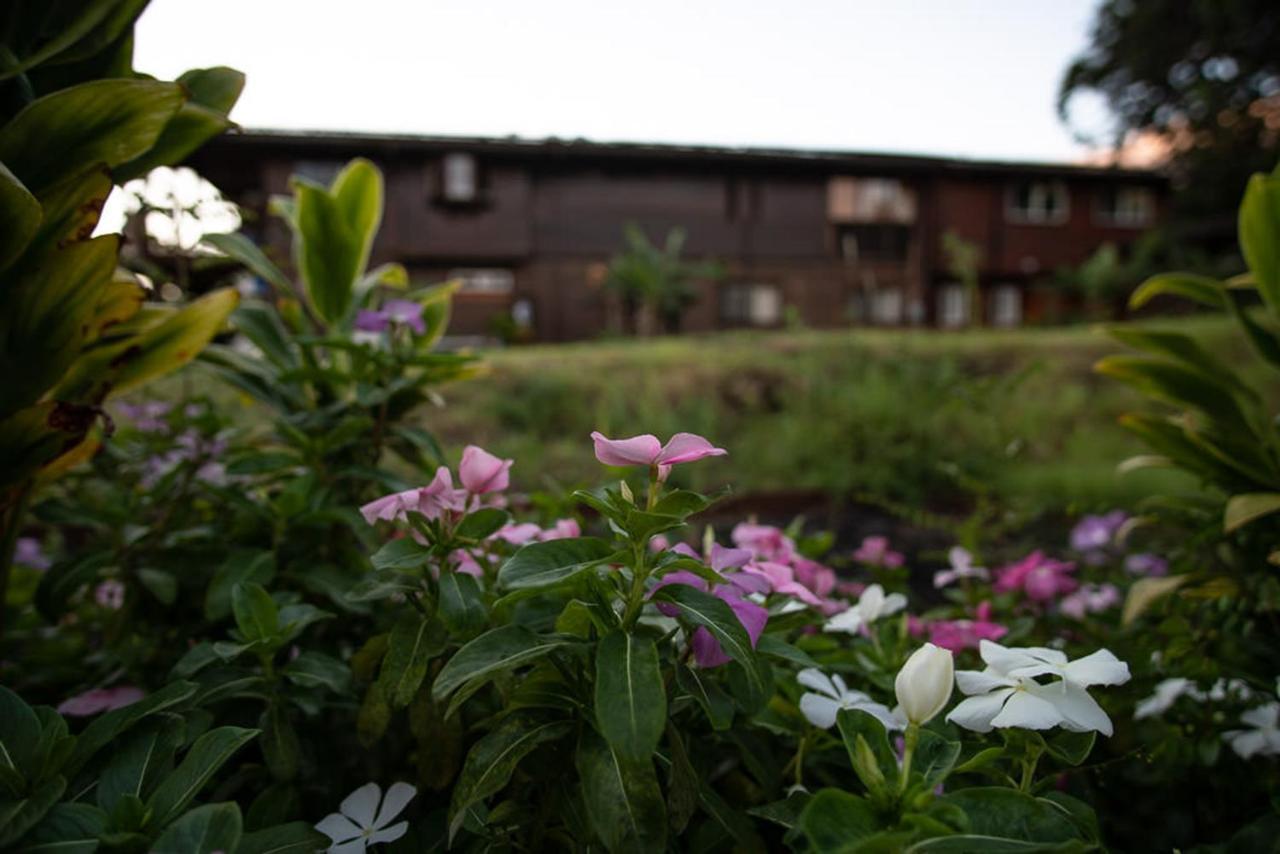 Bed and Breakfast God'S Peace Of Maui Makawao Zewnętrze zdjęcie