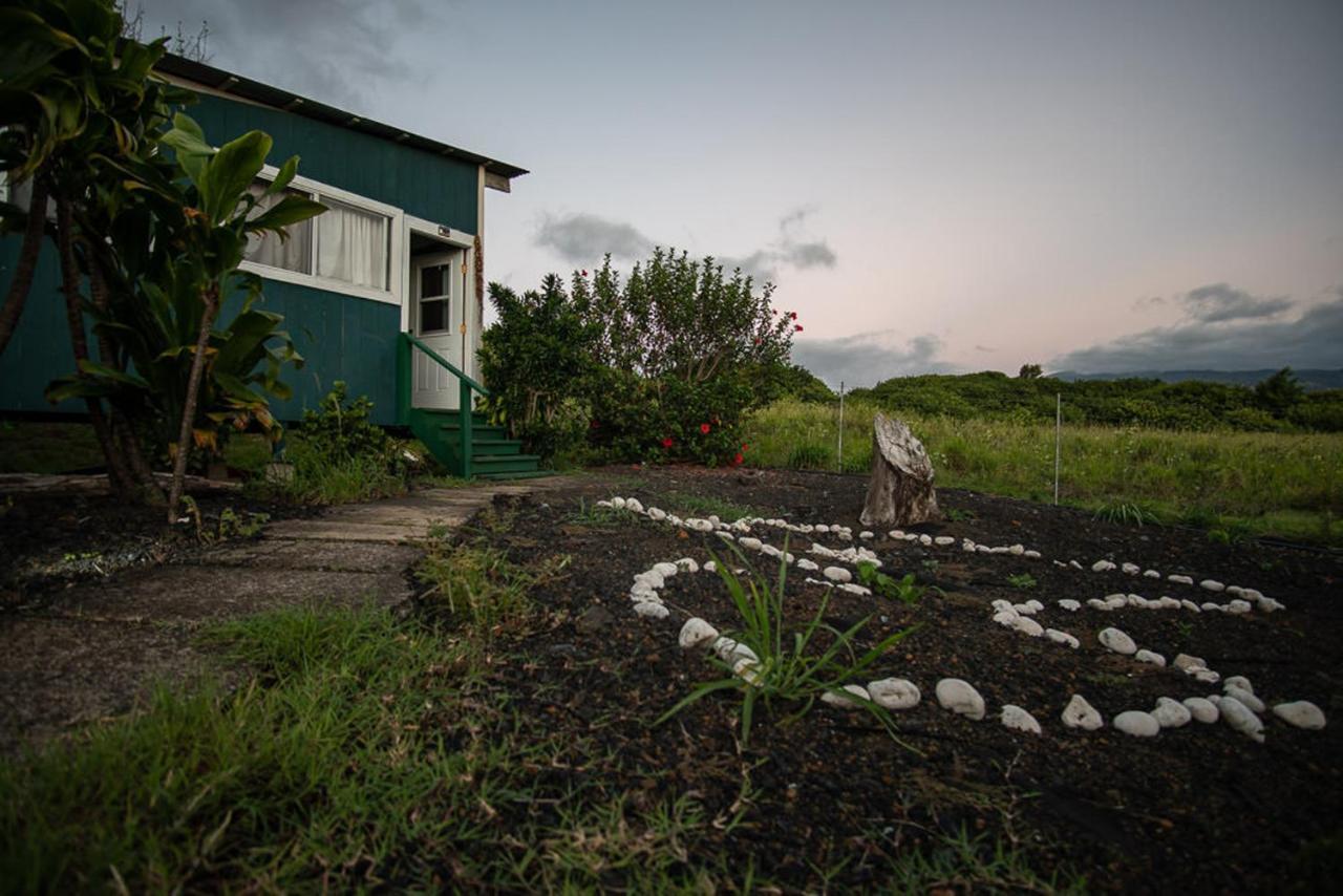 Bed and Breakfast God'S Peace Of Maui Makawao Zewnętrze zdjęcie