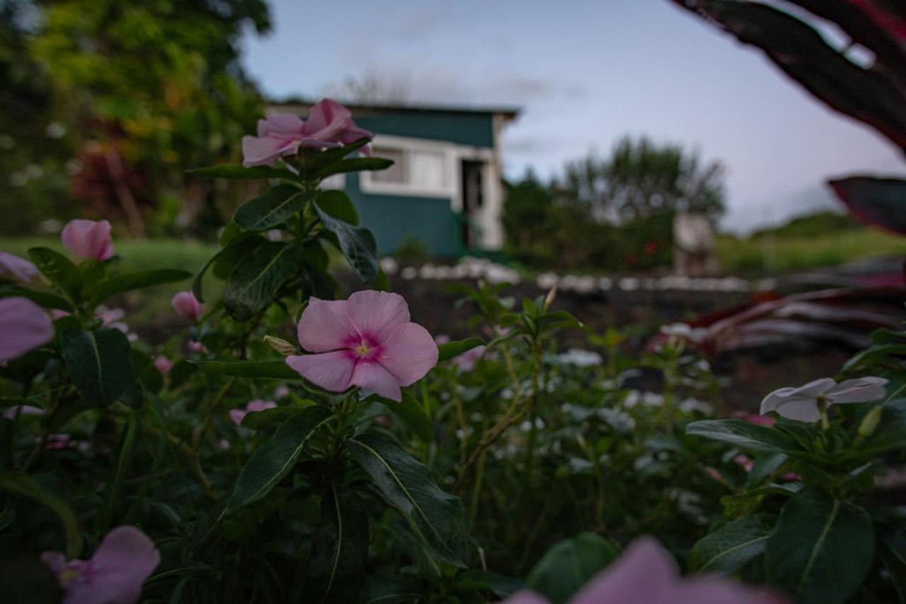 Bed and Breakfast God'S Peace Of Maui Makawao Zewnętrze zdjęcie