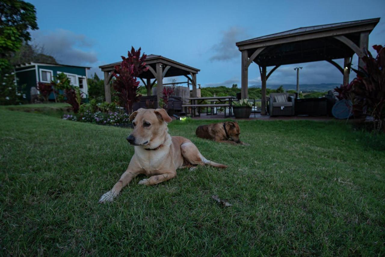 Bed and Breakfast God'S Peace Of Maui Makawao Zewnętrze zdjęcie